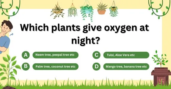 daily riddles : 25 plant riddles to test your bontanical knowledge img 1