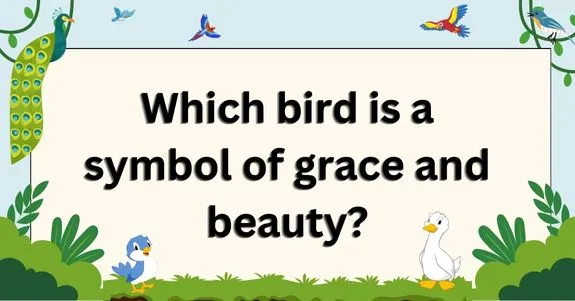 daily riddles : 30 bird riddles to boost your riddles img 1 daily riddles : 30 bird riddles to boost your riddles img 1