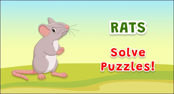 5 most intelligent specie rats