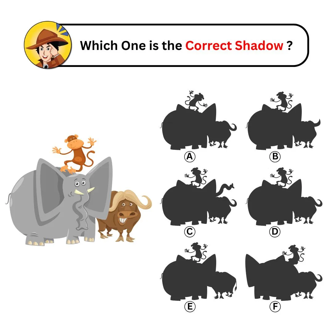 correct shadow