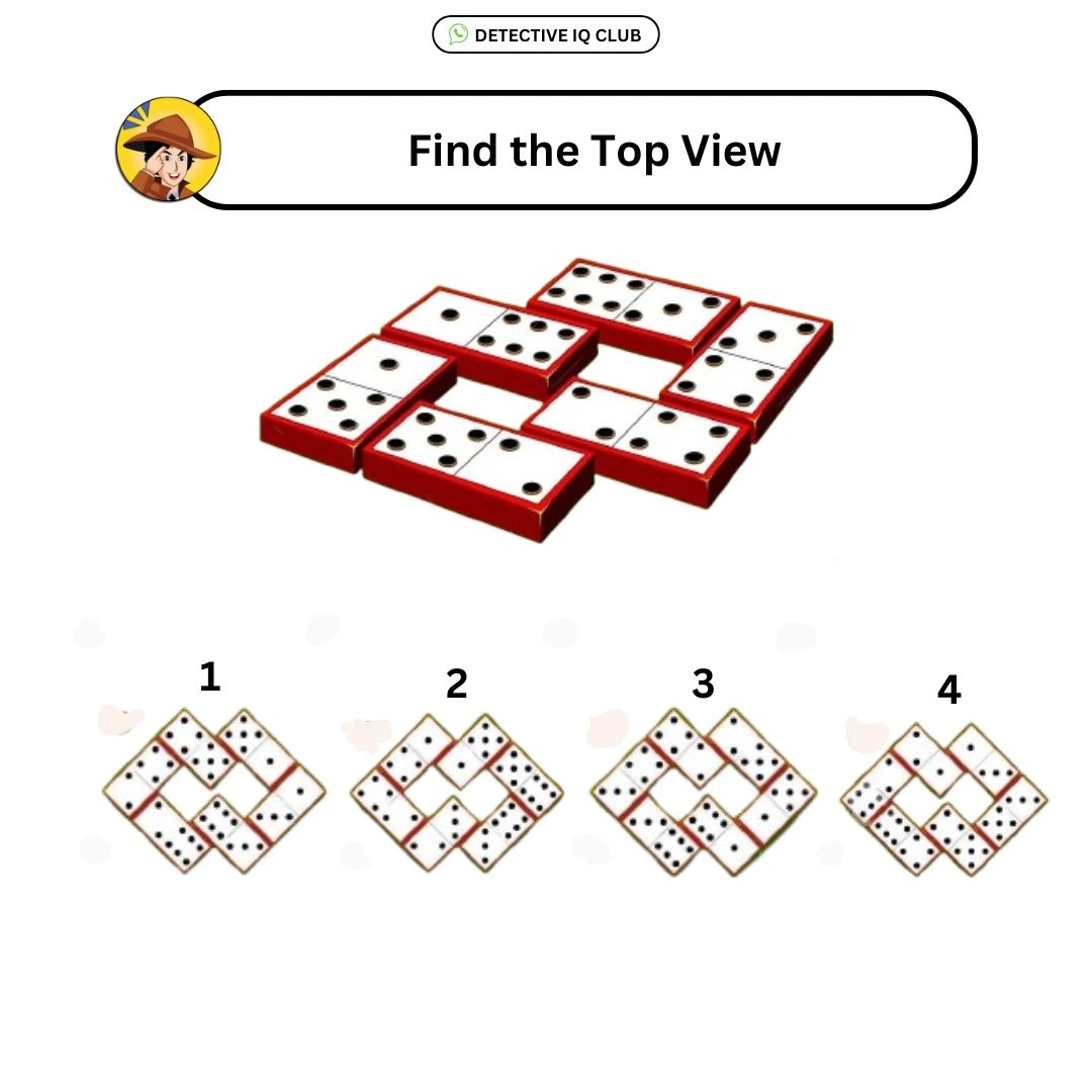 dice top view puzzle