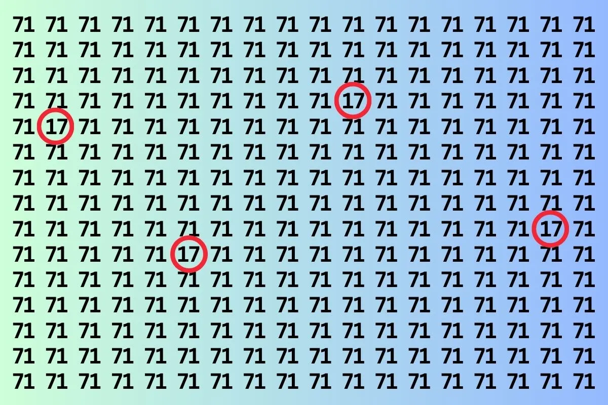 find 17 in group of 71 img 2