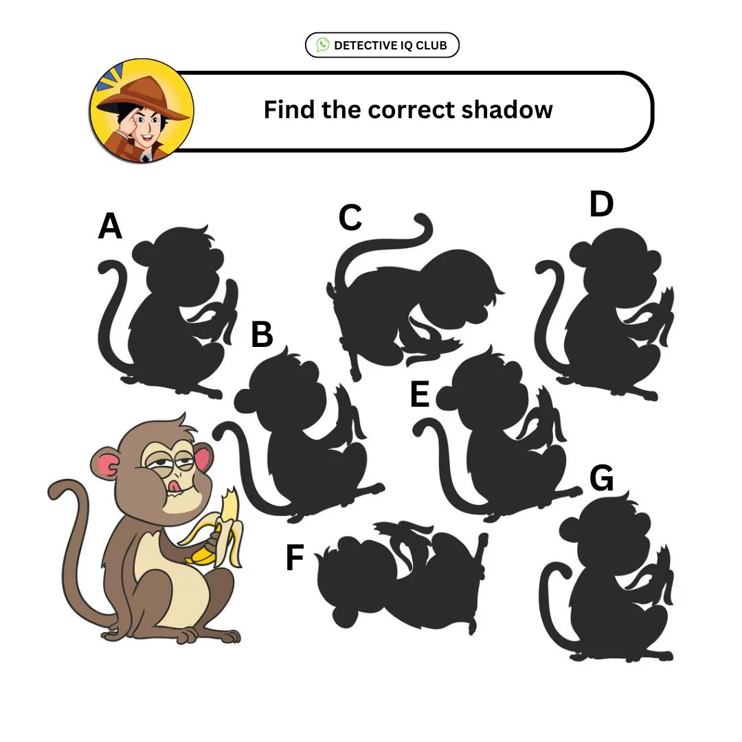 find correct shadow monkey