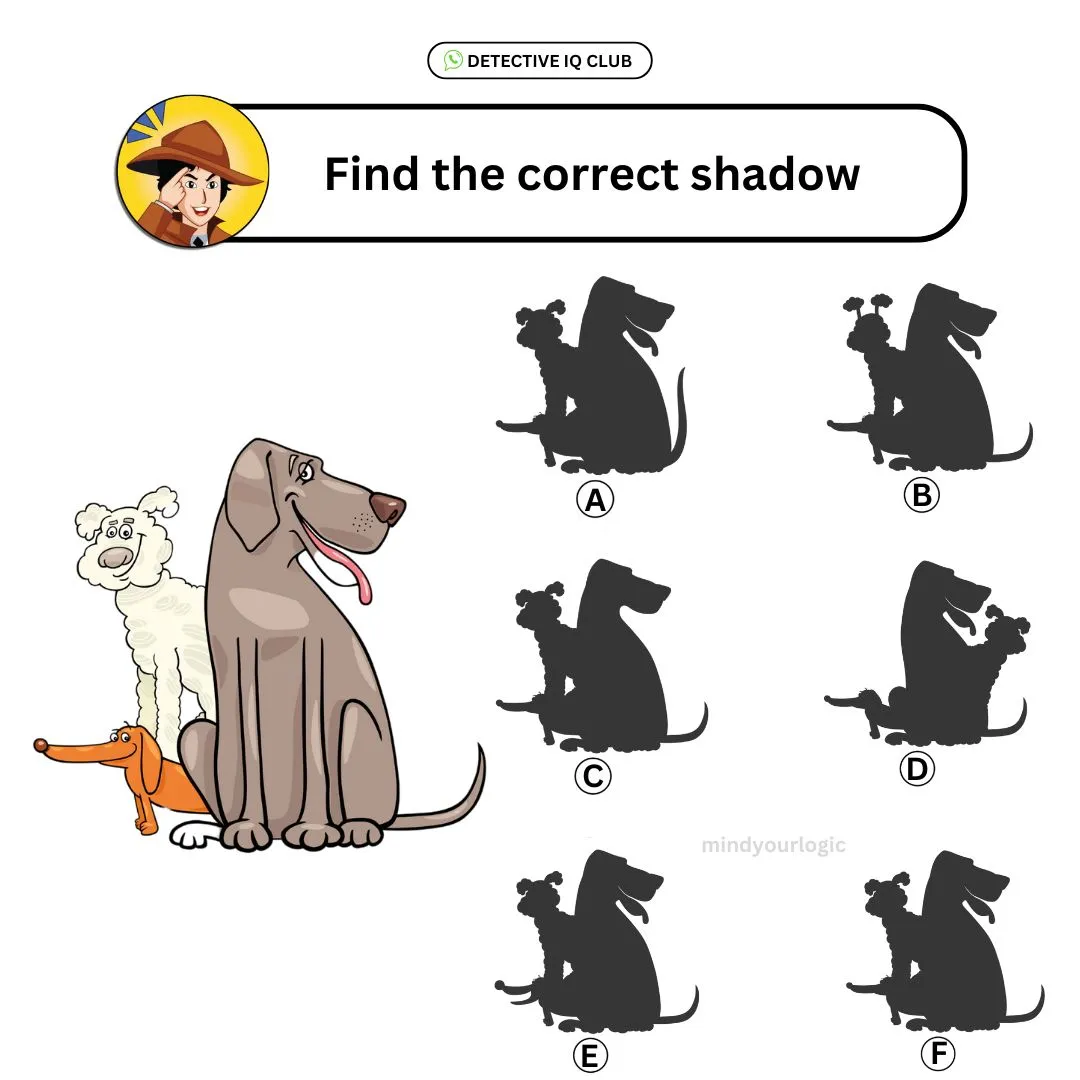 find the correct shadow dogs