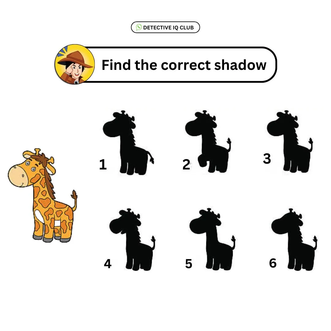 find the correct shadow giraffe