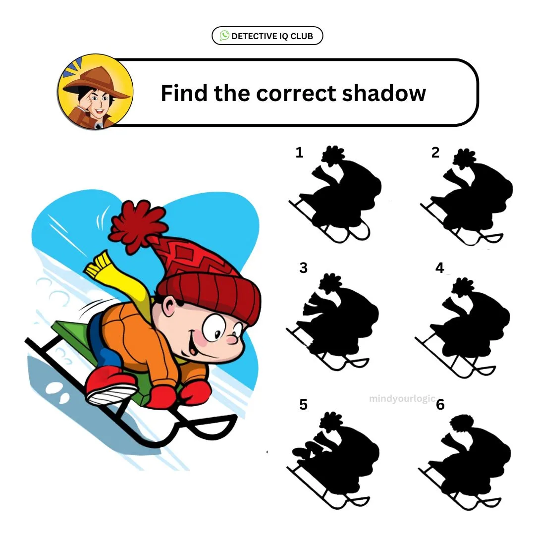 find-the-correct-shadow-sketing-boy