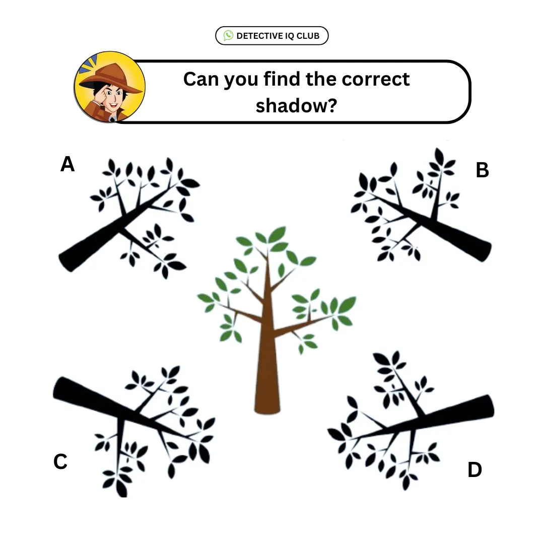 find the correct shaodw