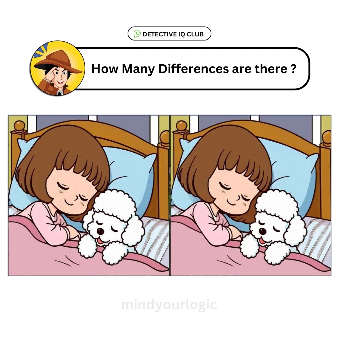 find the difference girl dog