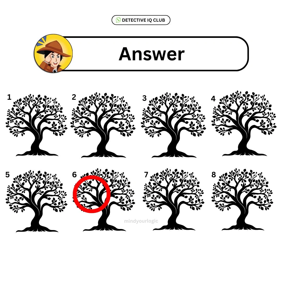find the different tree answer