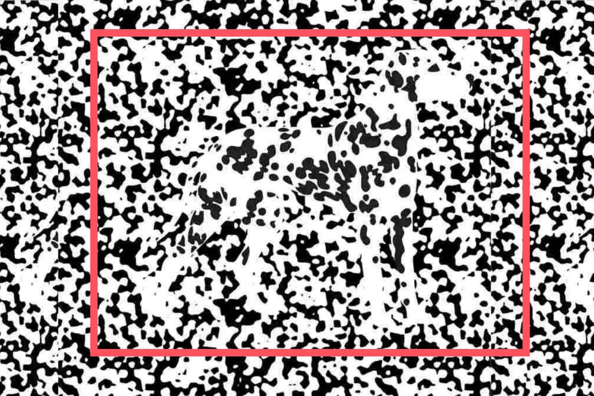 find the dog optical illusion image 3