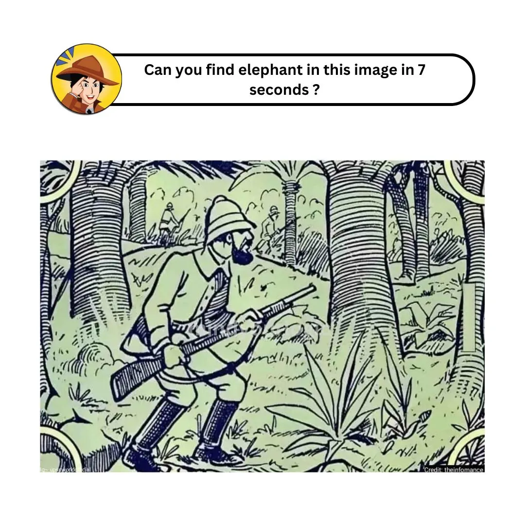 find-the-elephant-in-7-seconds