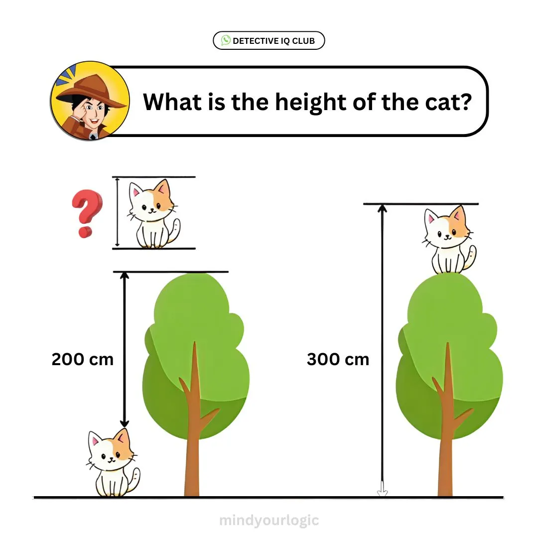 find the height of the cat puzzle