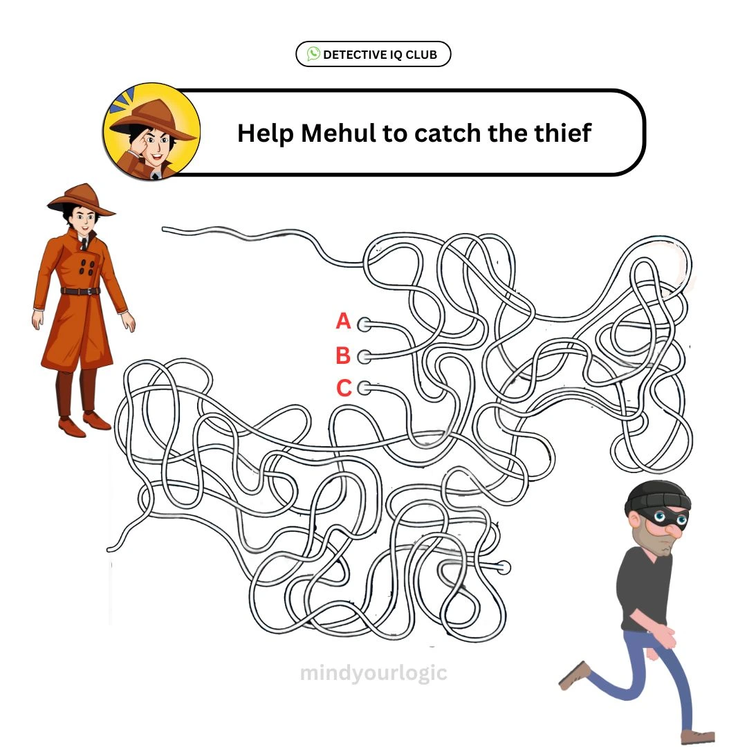find the path mehul theif