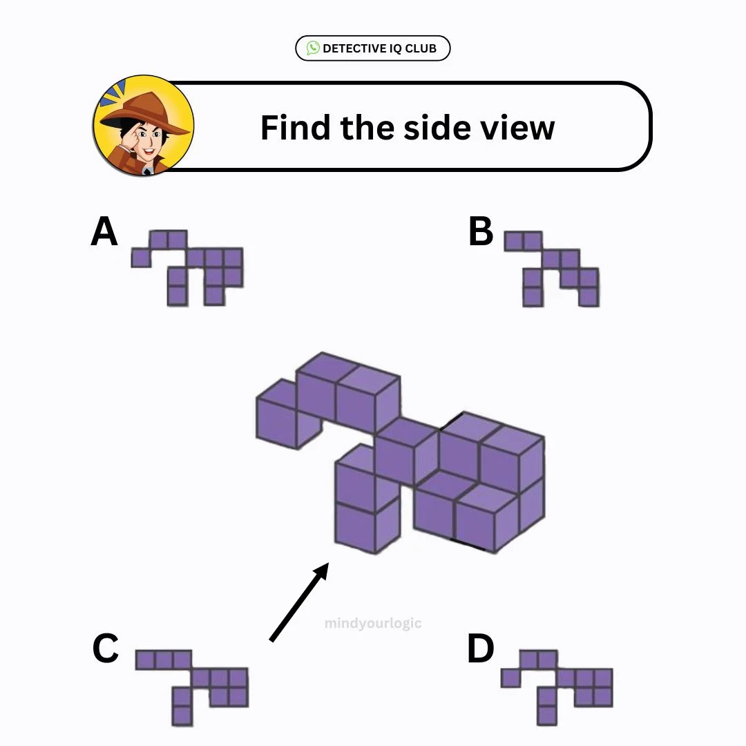 find-the-side-view-puzzle