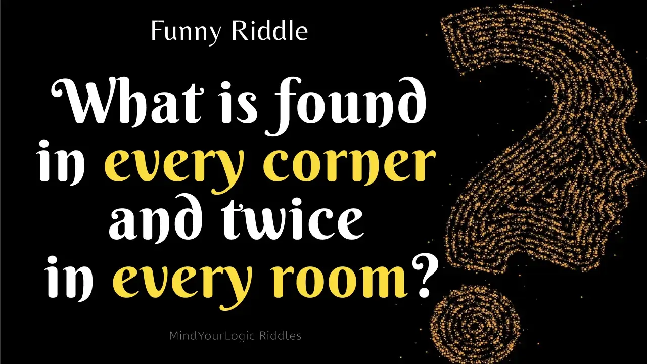 daily riddles : funny riddles fun brain workout