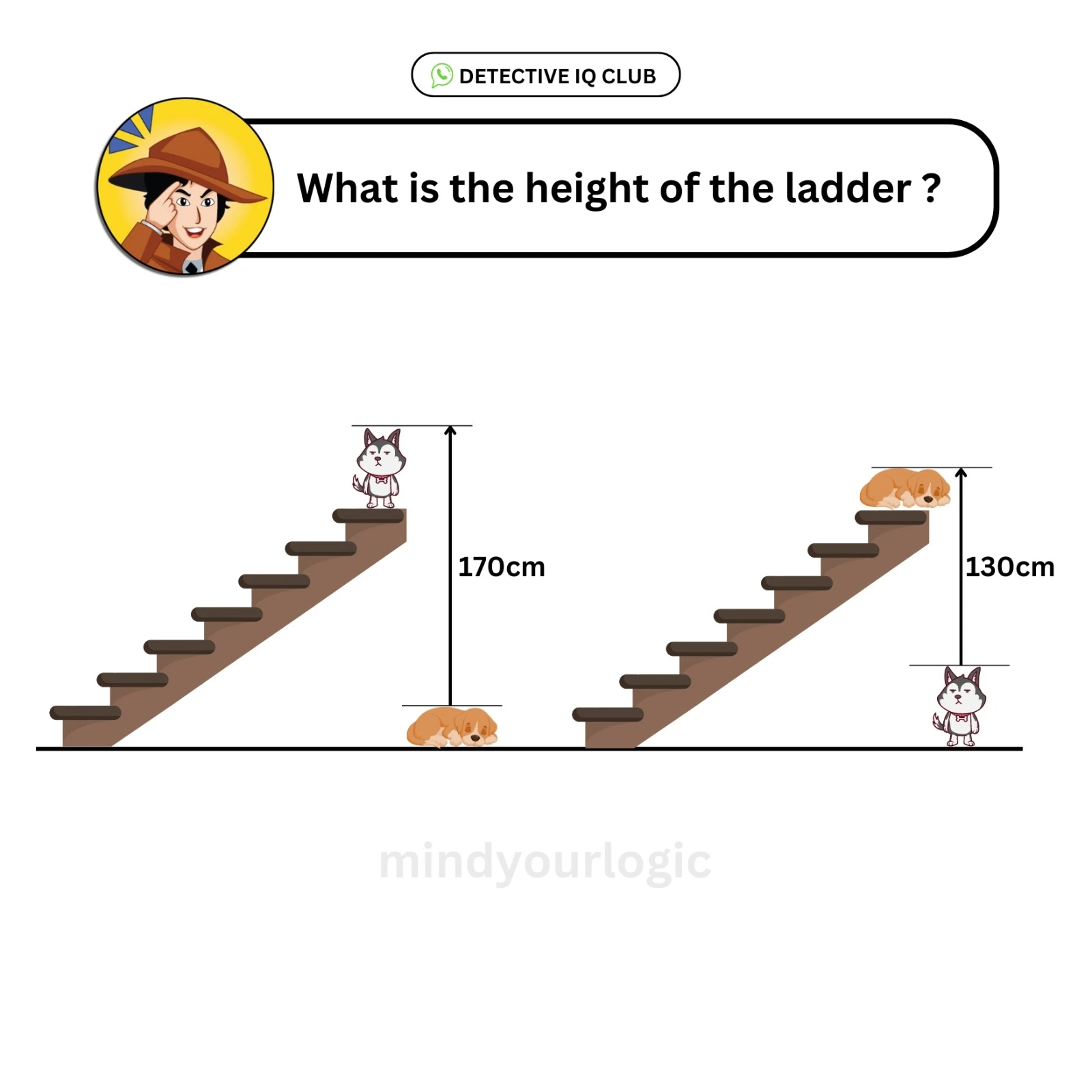 height of ladder