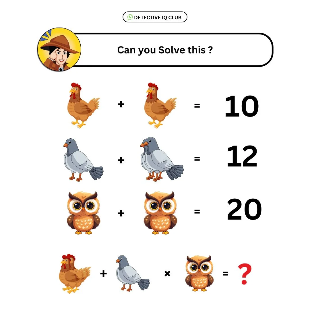 hen bird owl math puzzle