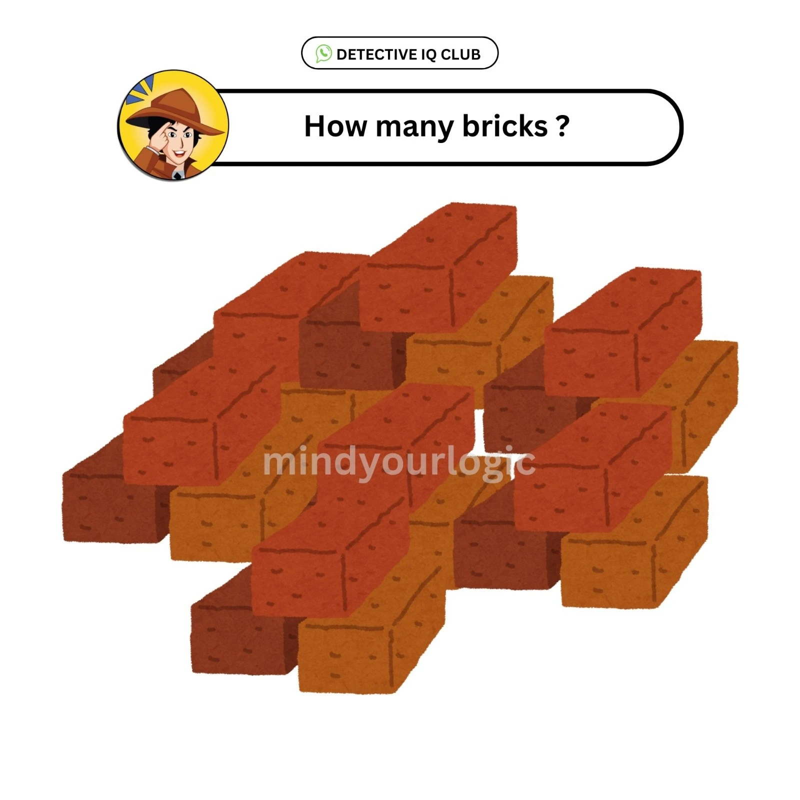how many bricks