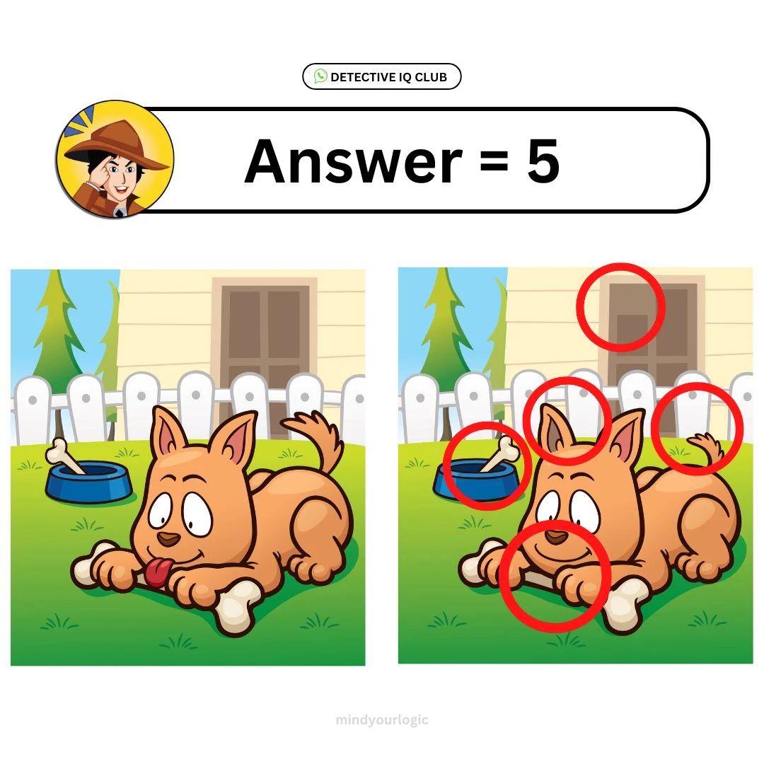 how many differences dog and bone answer