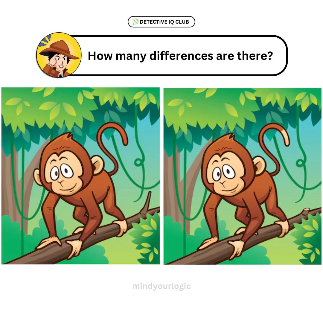 how-many-differences-moneky