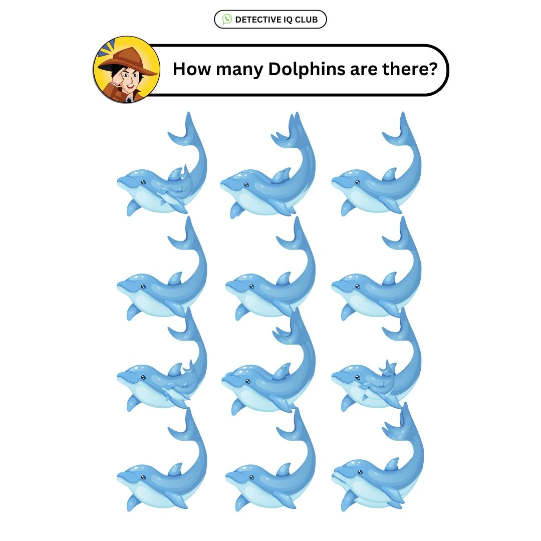 how many dolphins