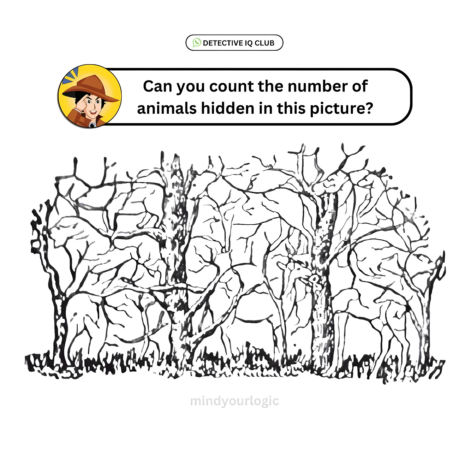 how many hidden animal