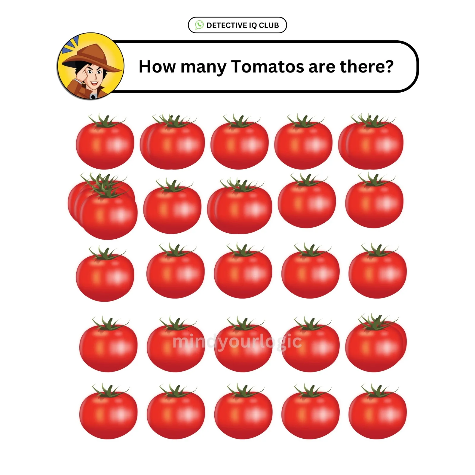 how many tomotoes are there