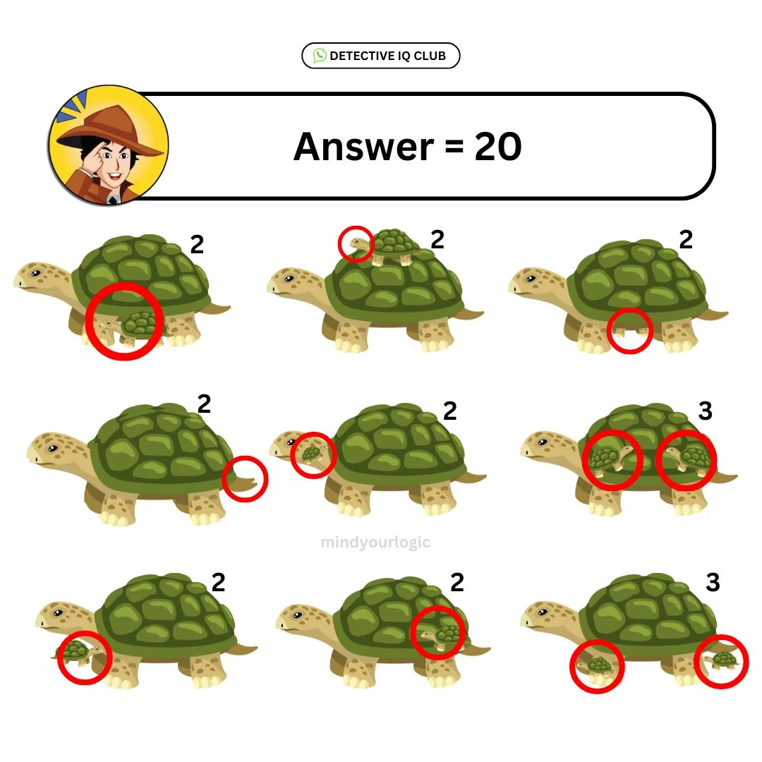 how many tortoise answer