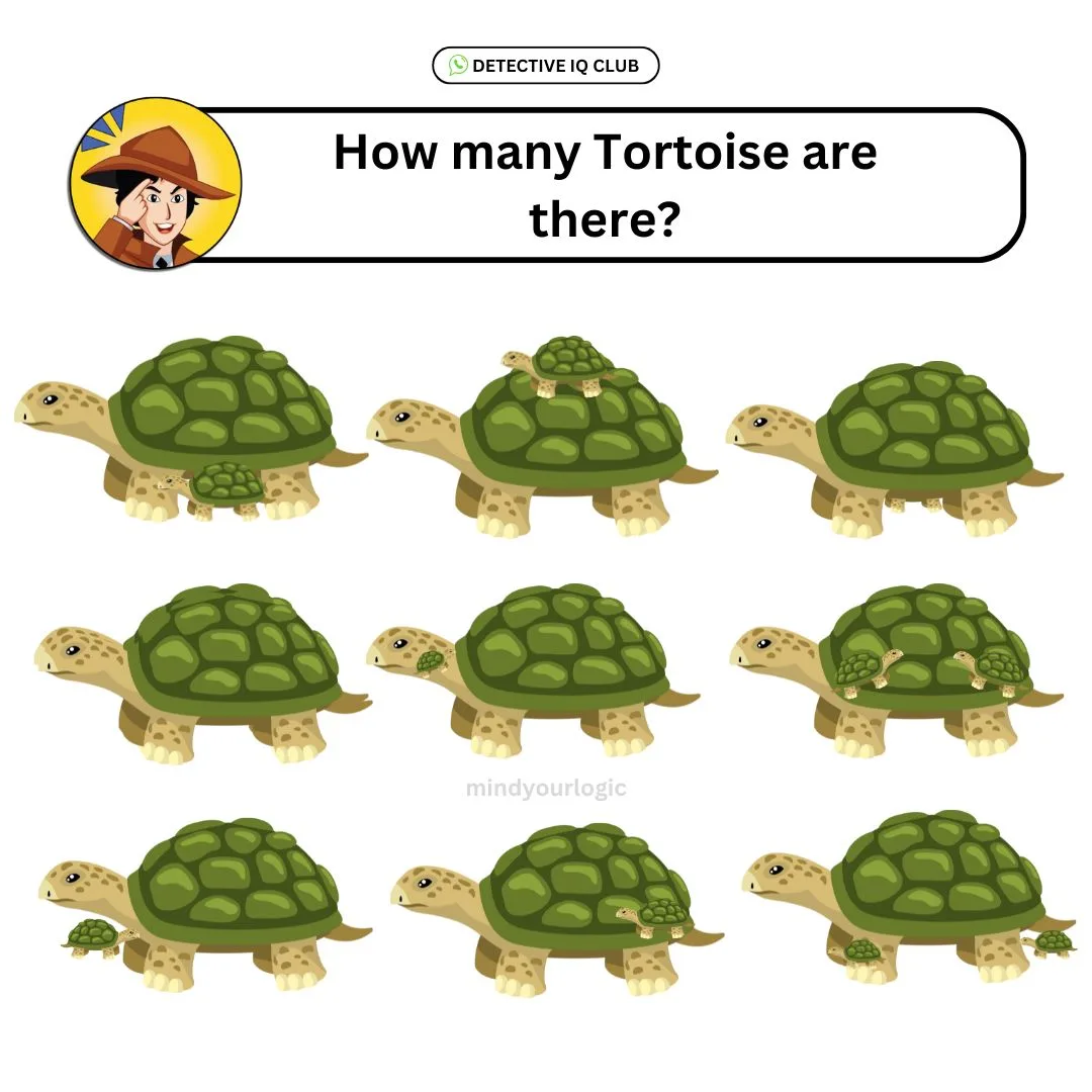 how many tortoise