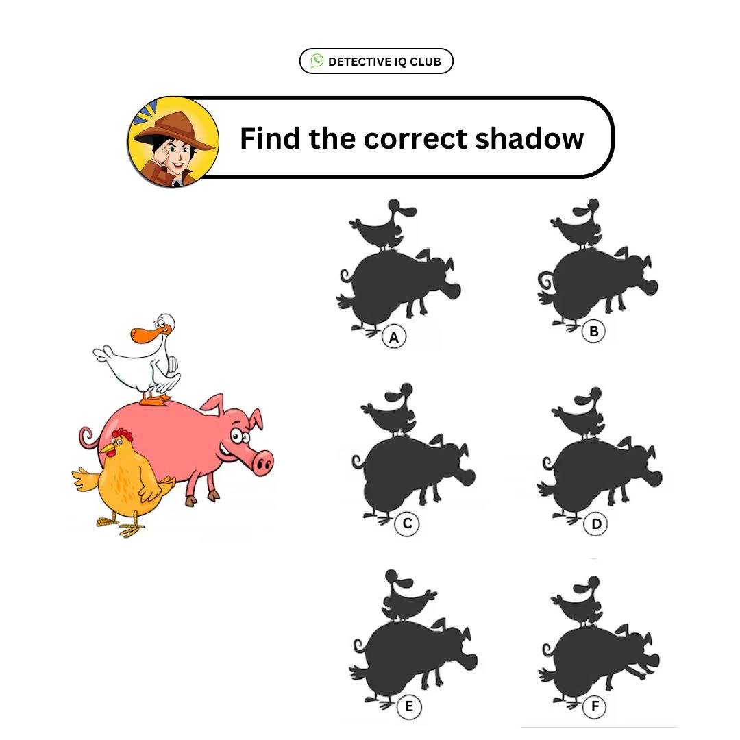 pig bird duck shadow puzzle