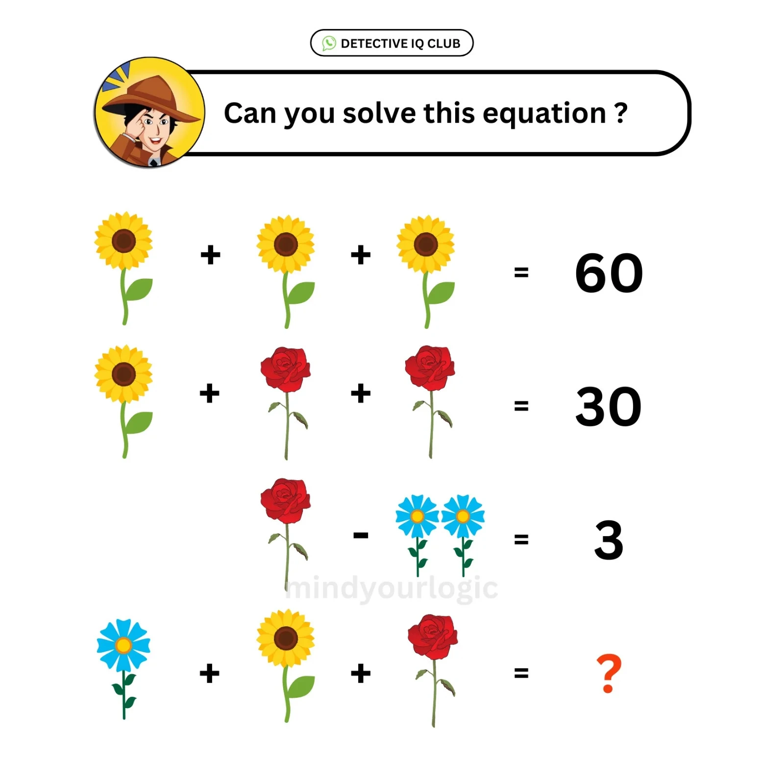 sunflower blue flower math equation
