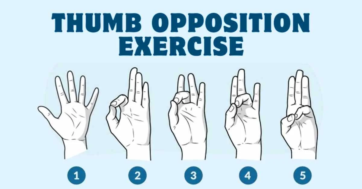 thumb opposition exercise