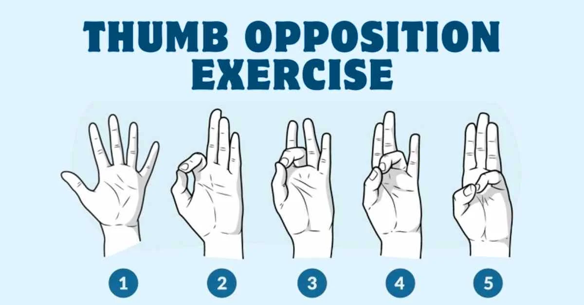 Thumb Opposition Exercises ZJchao 5 St ck Grip Ball bung Squeeze