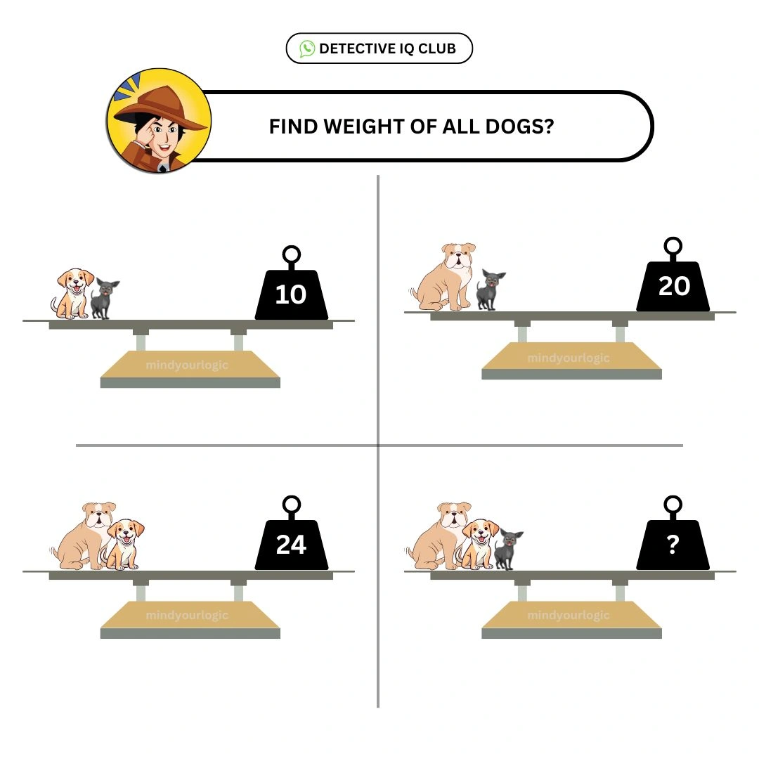 weight of all dogs