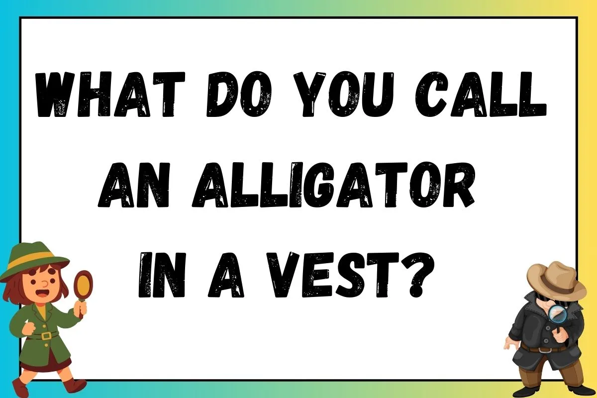 what do you call an alligator in vest