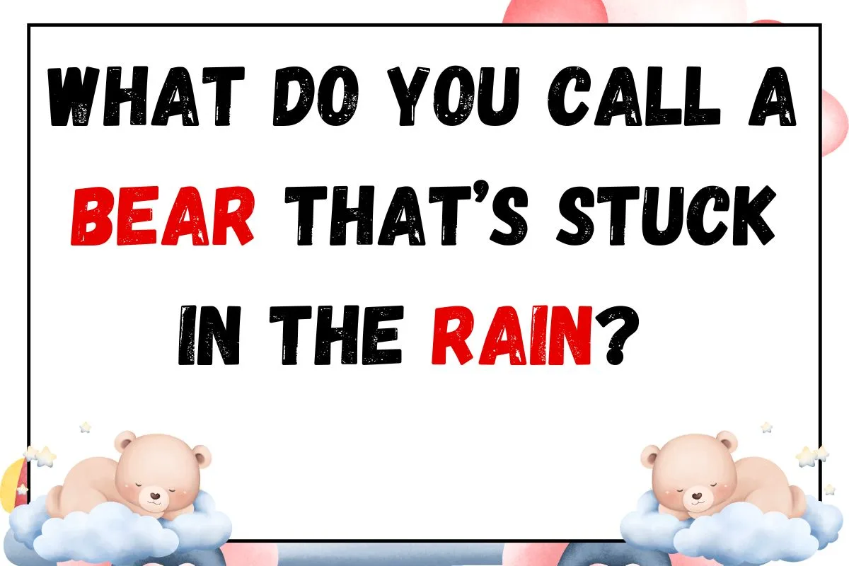 what do you call bear that stuck in rain