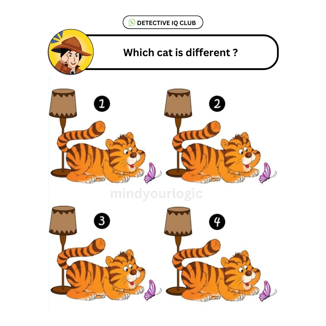 whch cat is different