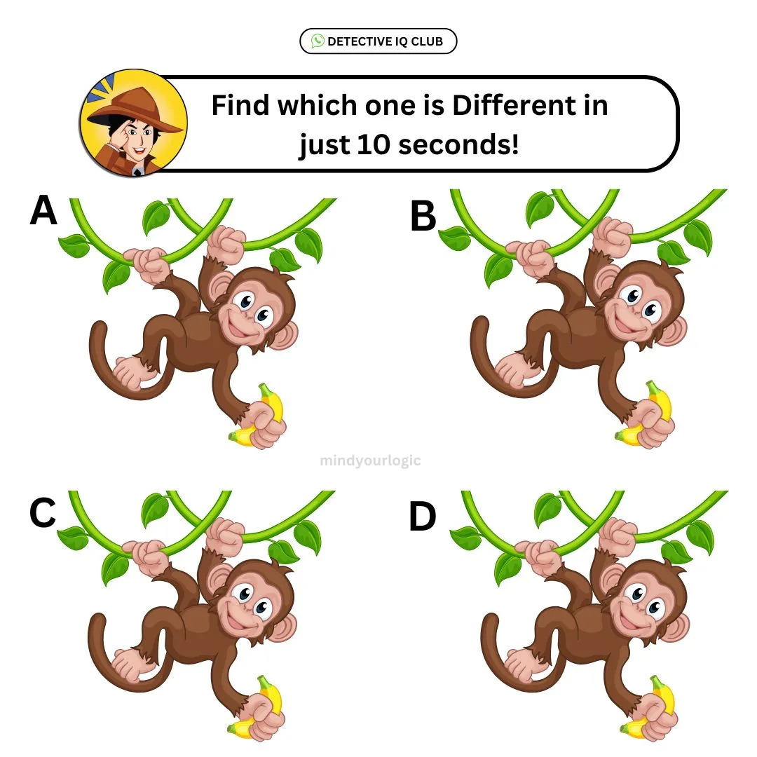 which one is diferent monkey puzzle