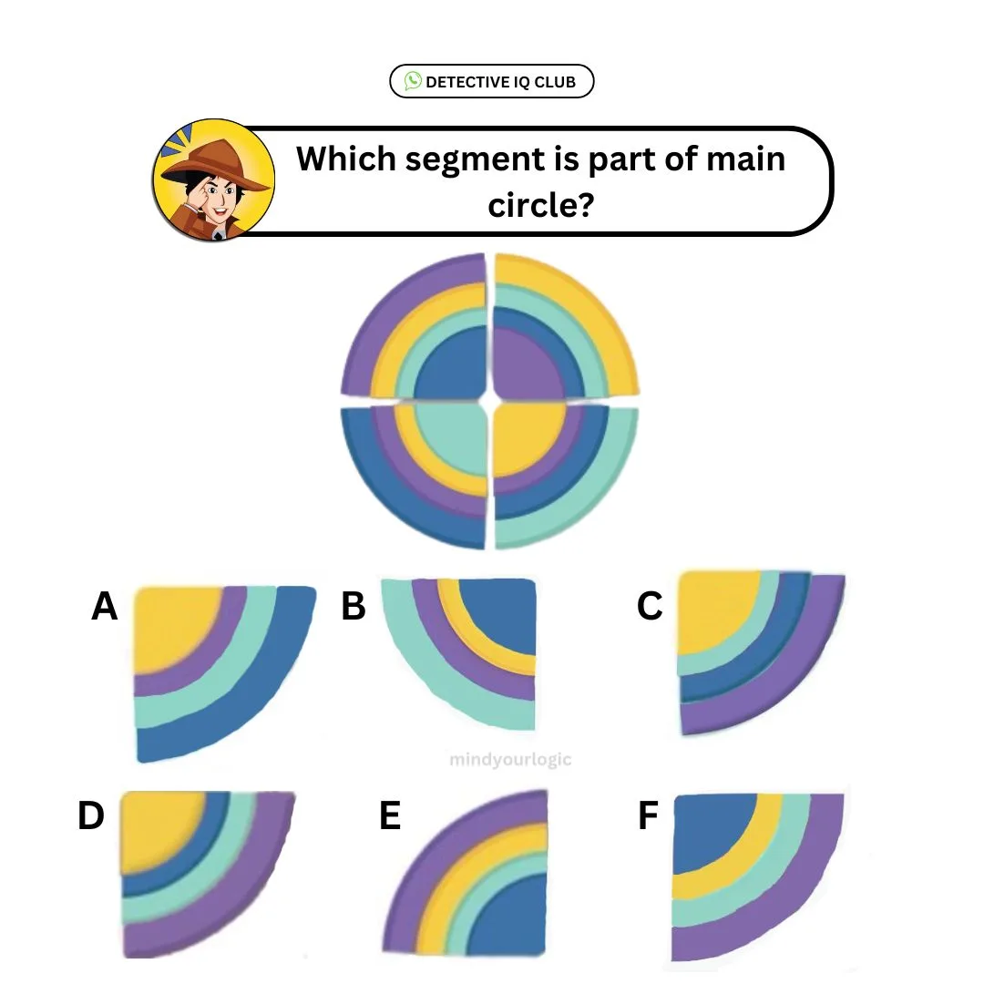 which segment is part of main circle