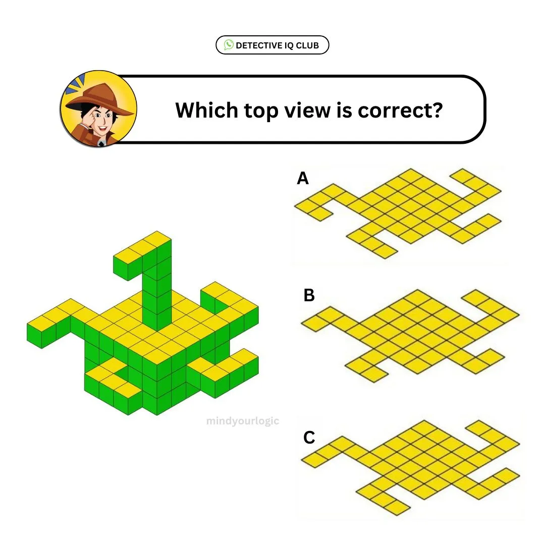 which top view is correct