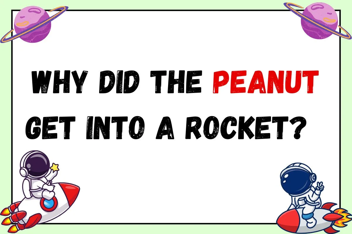 why do the peanut get int rocket