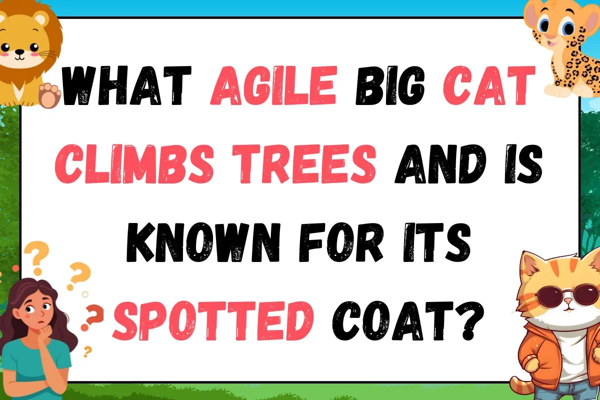 wild animal riddle to solve and enjoy