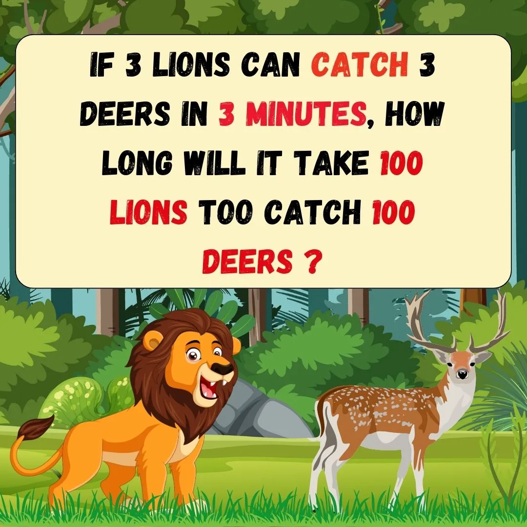 3 lions catch 3 deras
