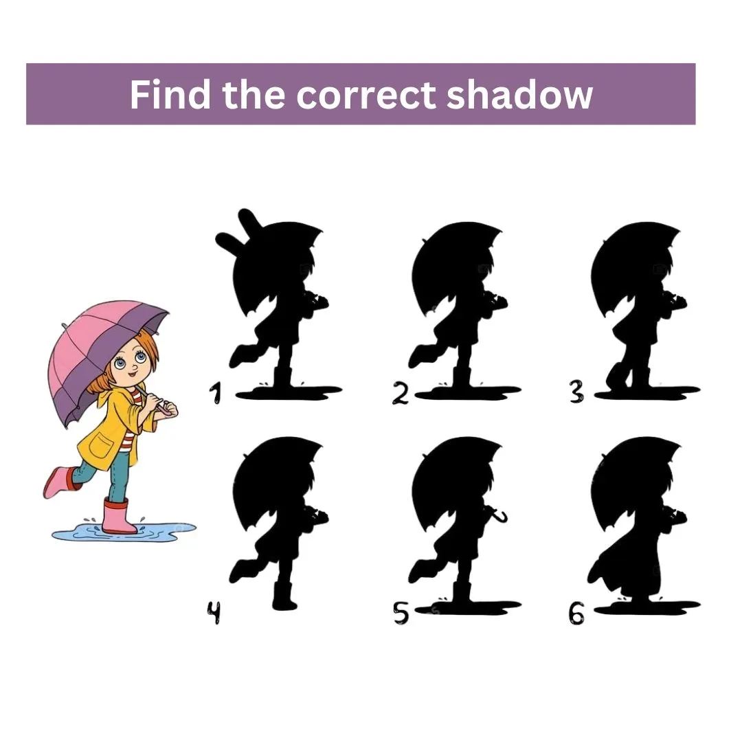 find the correct shadow