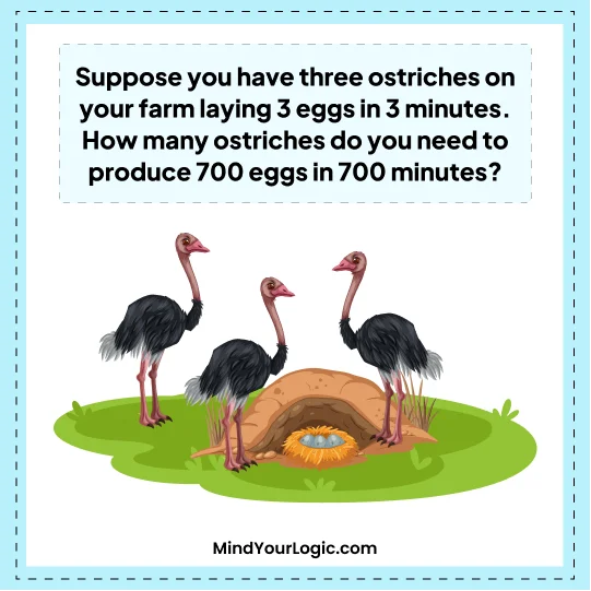 how-many-eggs-ostriches-lay-in-700-minutes