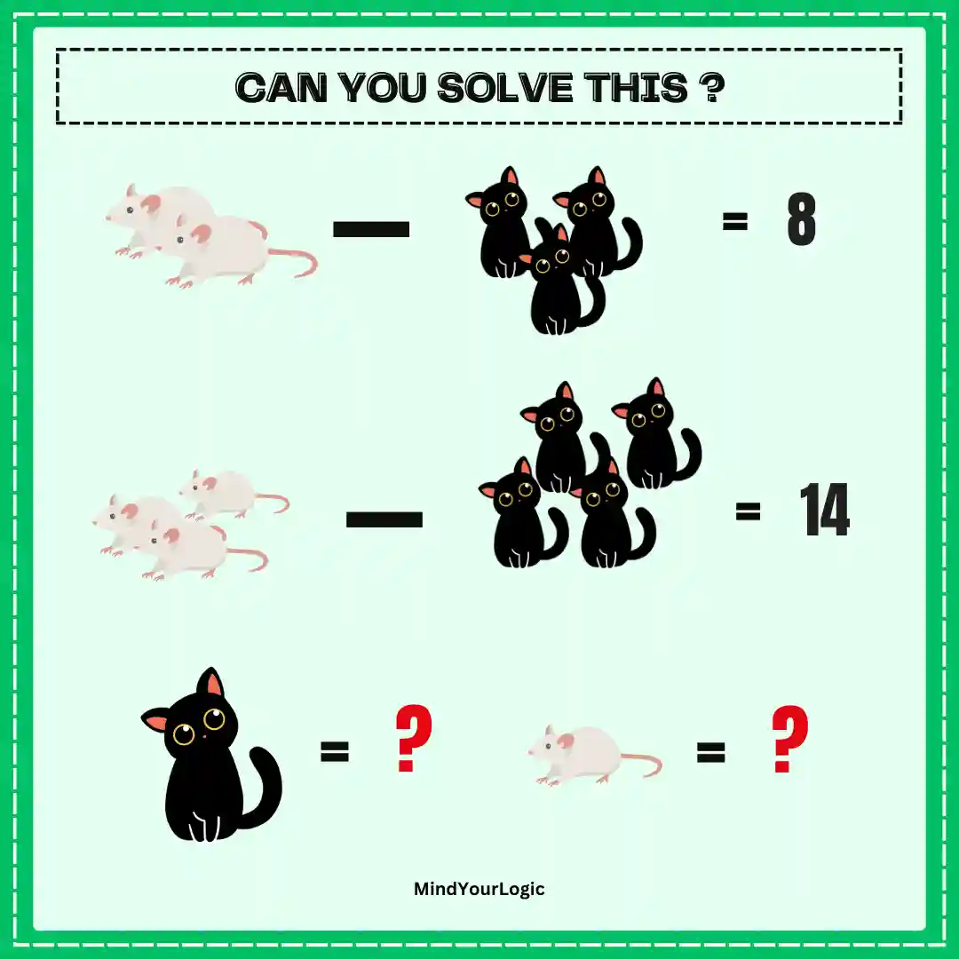 rat and cat math equation puzzle