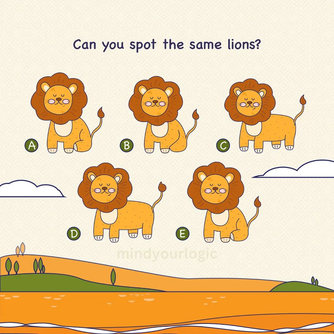 spot the same lions