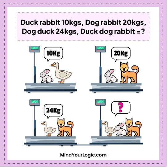 Dog_Cat,_Rabit_Weight_Photo_Math_Riddle_67-math-riddles