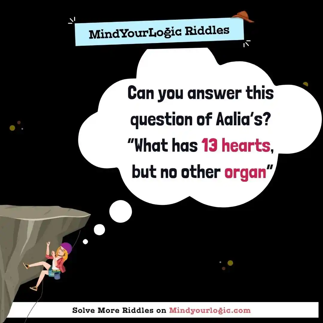 Mindyourlogic Riddle:  Answer: 
