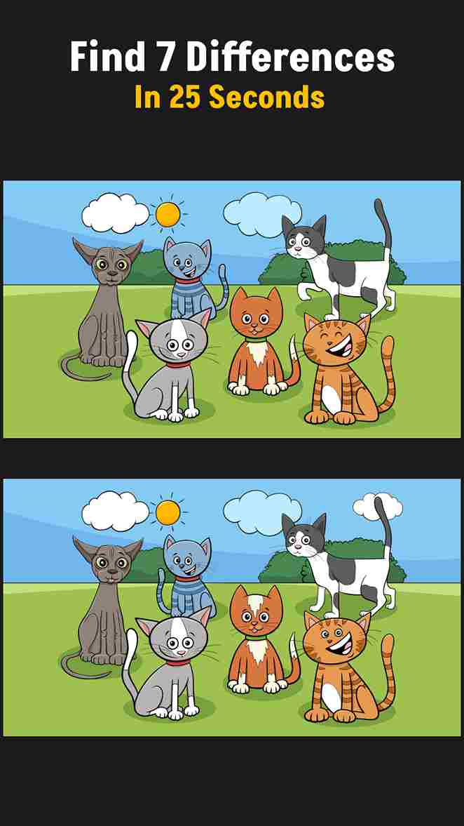 find hidden 7 differences slide 1